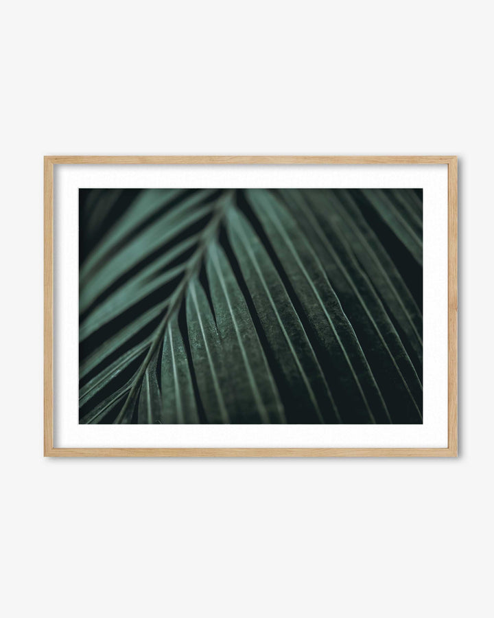 Delicate Leaf Wall Art Print