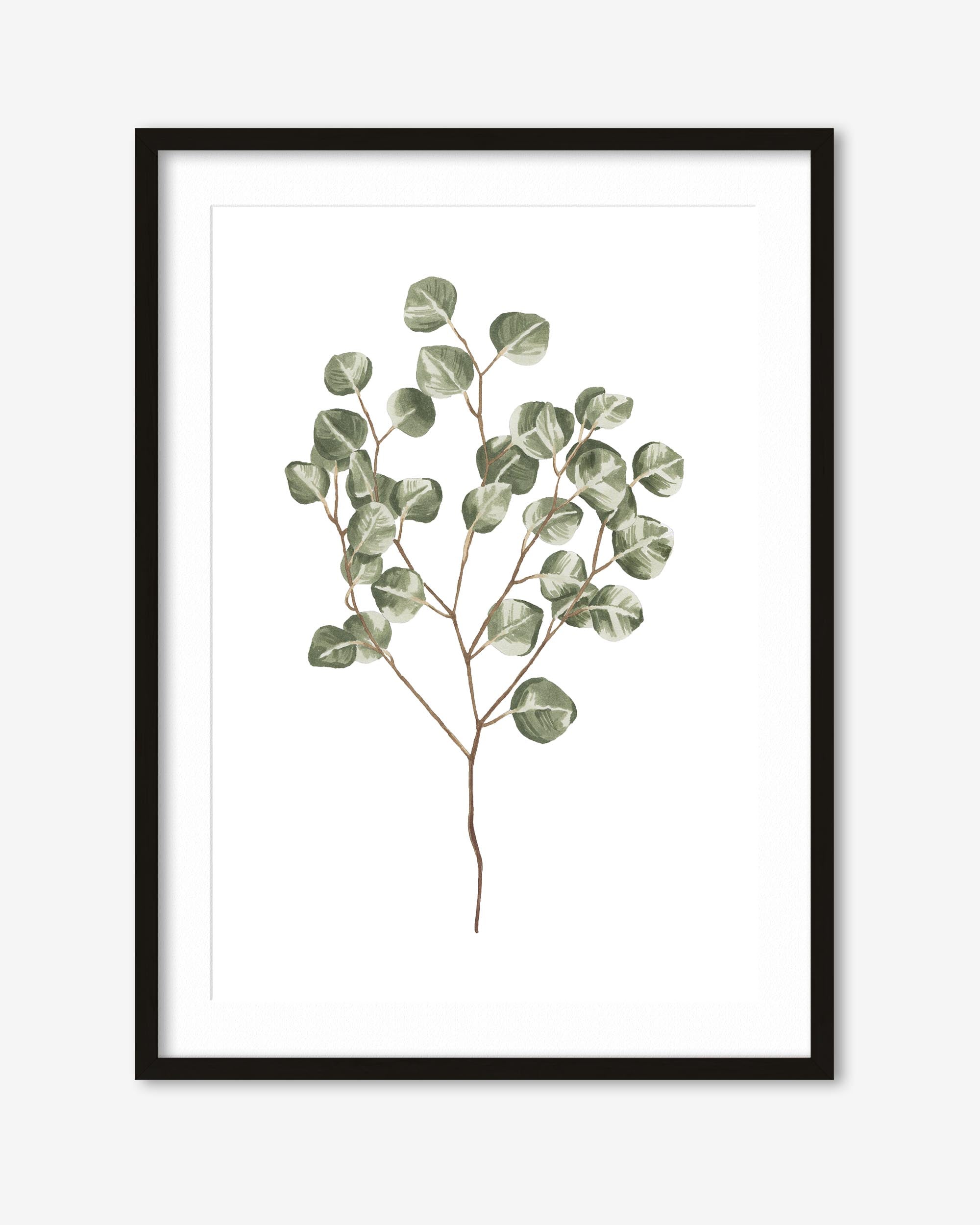 Framed artwork of a eucalyptus branch on a white background