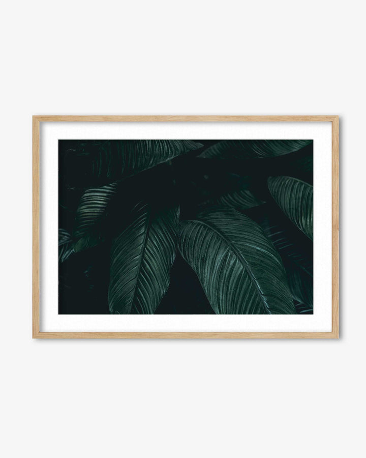 Tropical Leaf II Wall Art Print