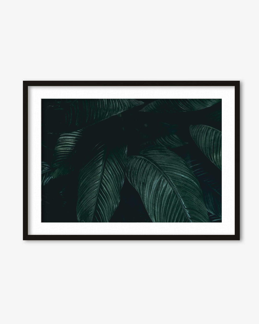 Tropical Leaf II Wall Art Print