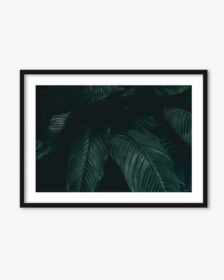Tropical Leaf II Wall Art Print