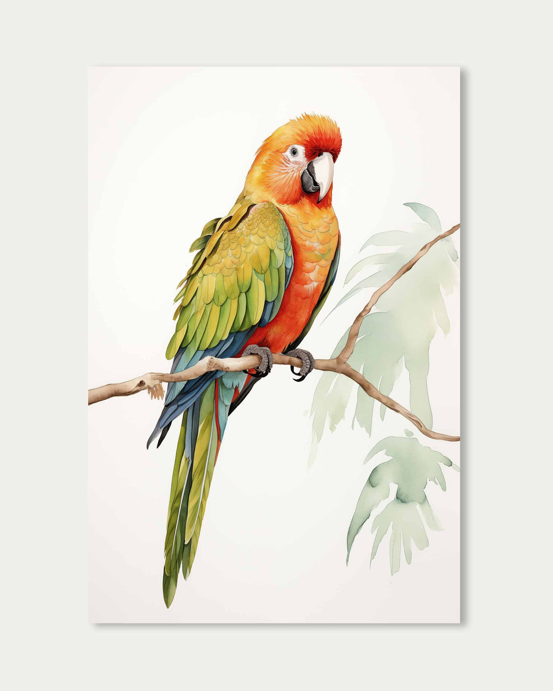 Colourful Parrot Wall Art Print