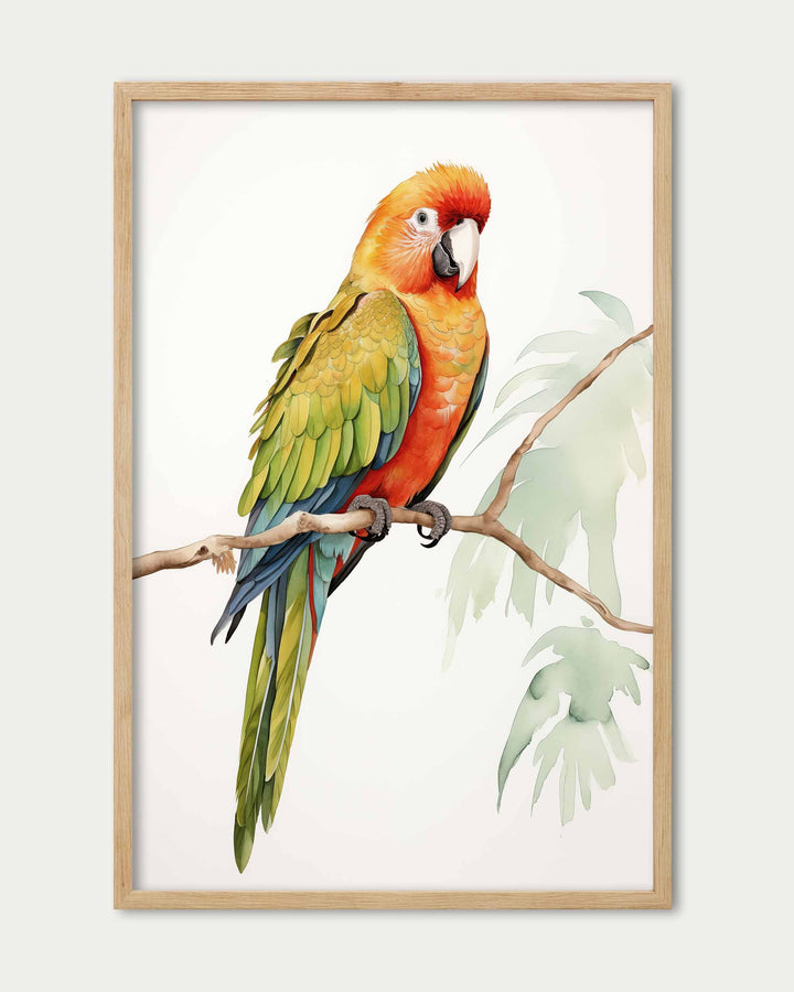 Colourful Parrot Wall Art Print
