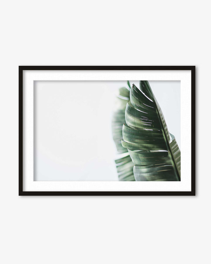 Contemporary Leaves Wall Art Print