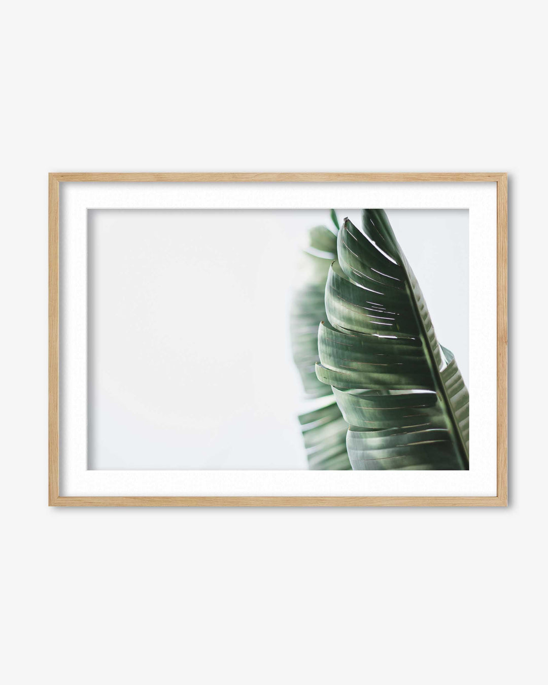 Contemporary Leaves Wall Art Print