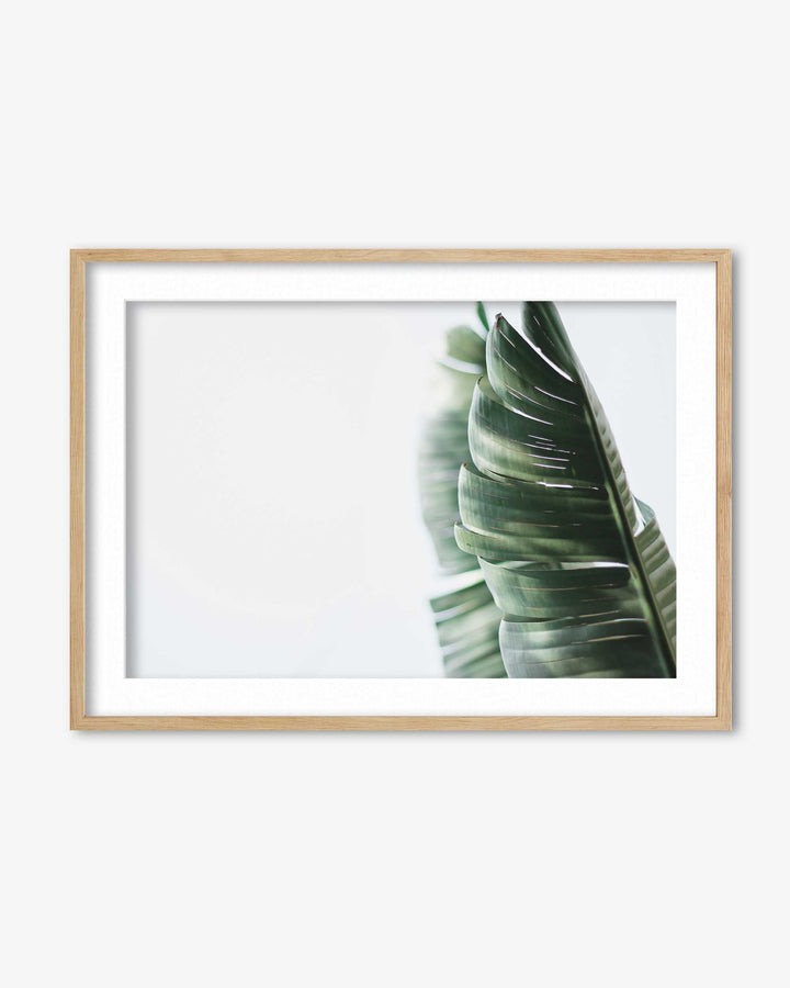 Contemporary Leaves Wall Art Print