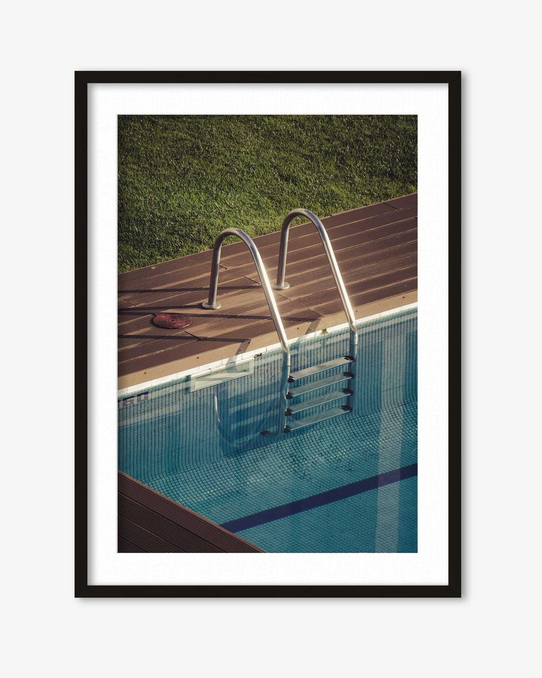 Going For A Swim Wall Art Print