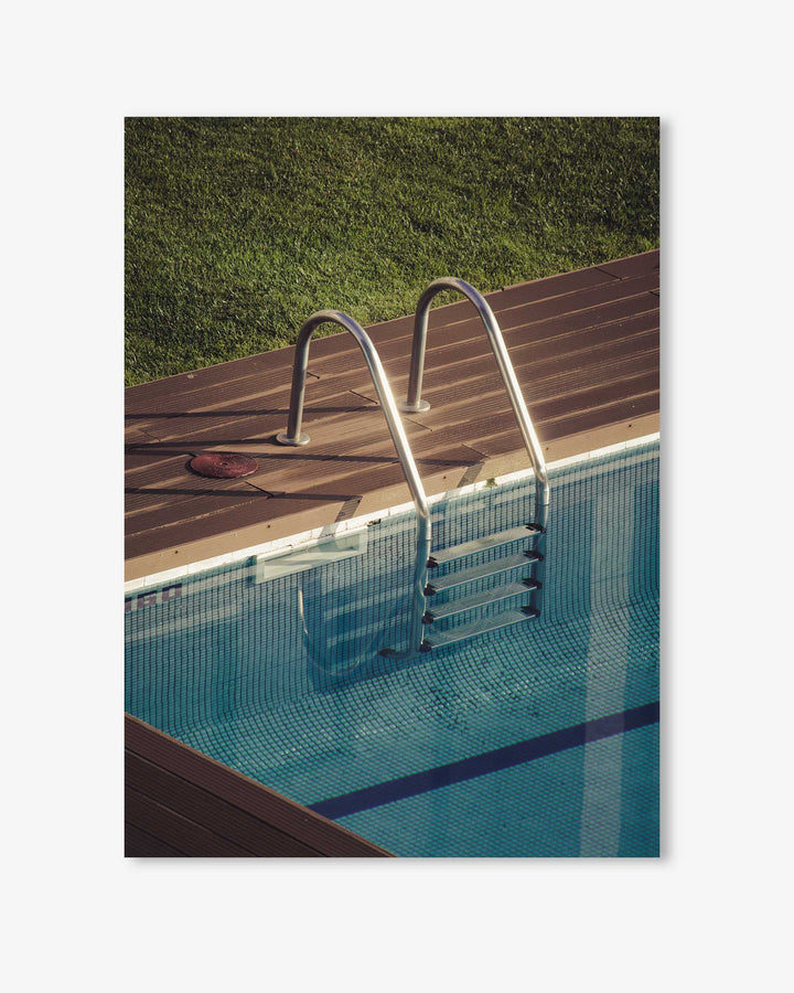 Going For A Swim Wall Art Print