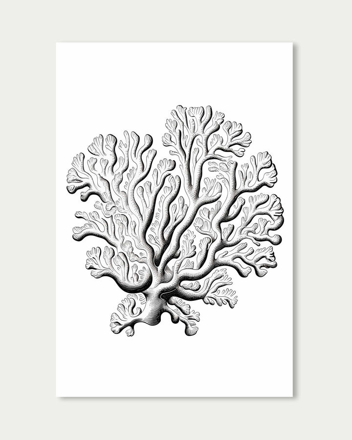 Monochrome Coral Art Print