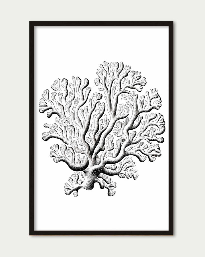 Monochrome Coral Art Print