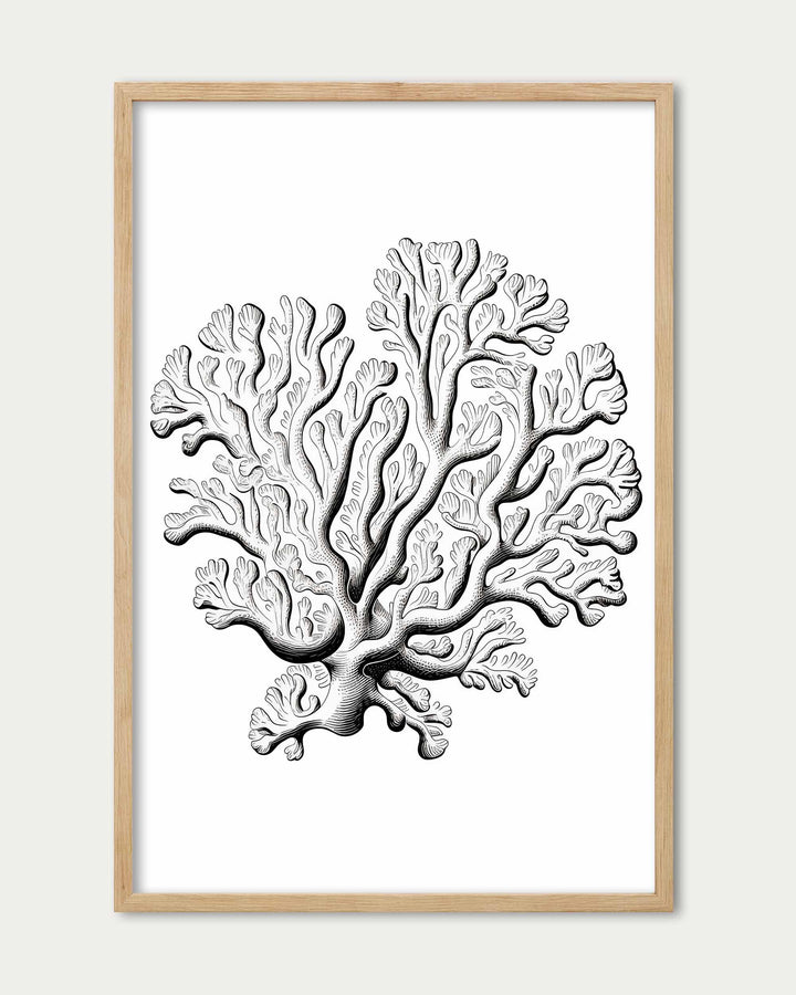 Monochrome Coral Art Print