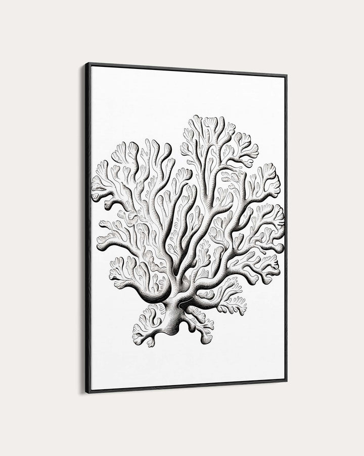 Monochrome Coral Art Print