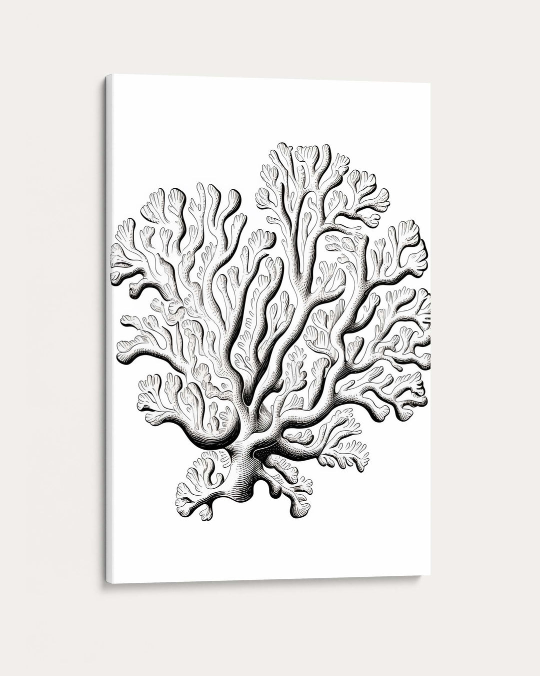 Monochrome Coral Art Print