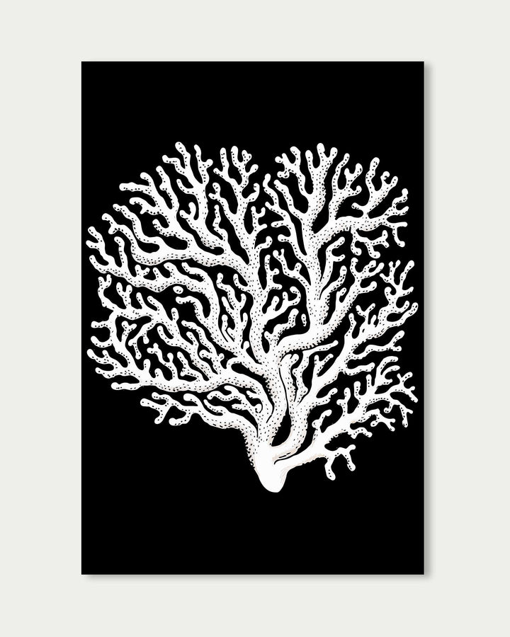 Monochrome Coral II Art Print