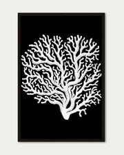 Monochrome Coral II Art Print