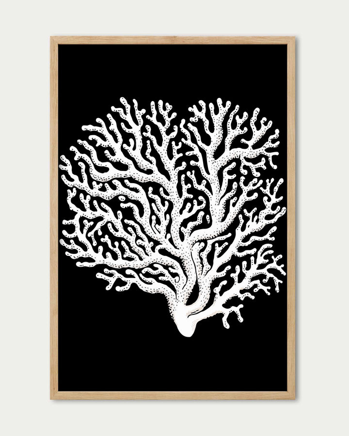 Monochrome Coral II Art Print