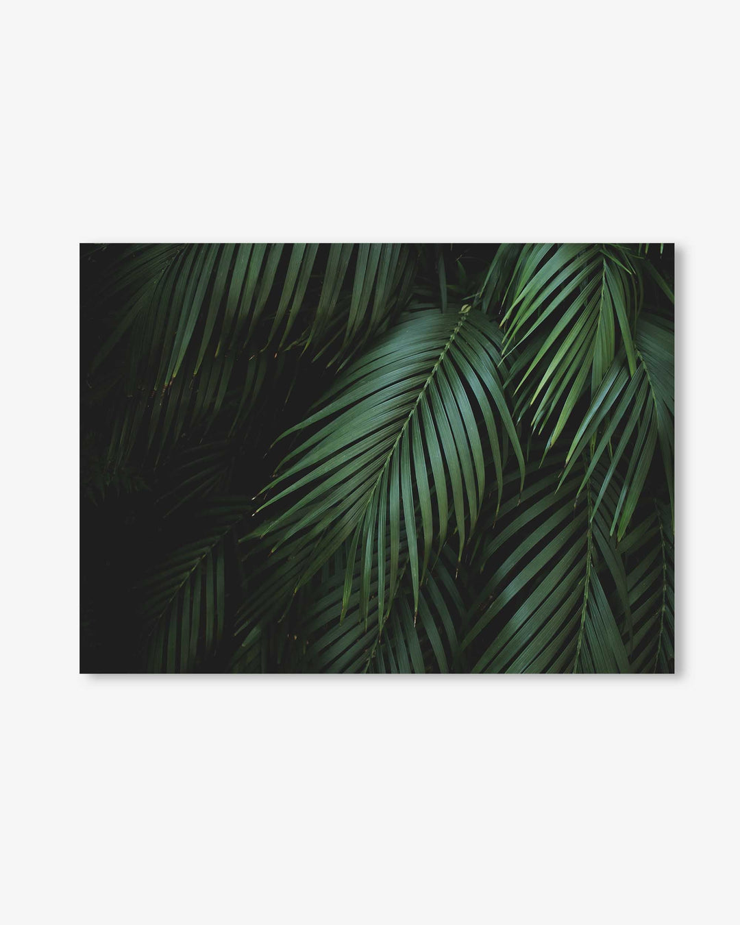Dark Green Botanical Wall Art Print