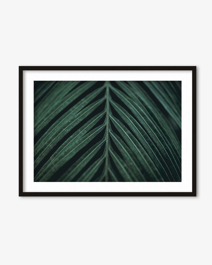 Tropical Leaf Wall Art Print