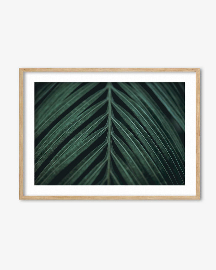Tropical Leaf Wall Art Print