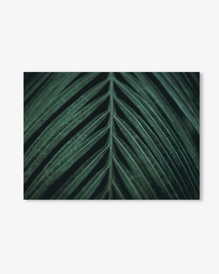Tropical Leaf Wall Art Print