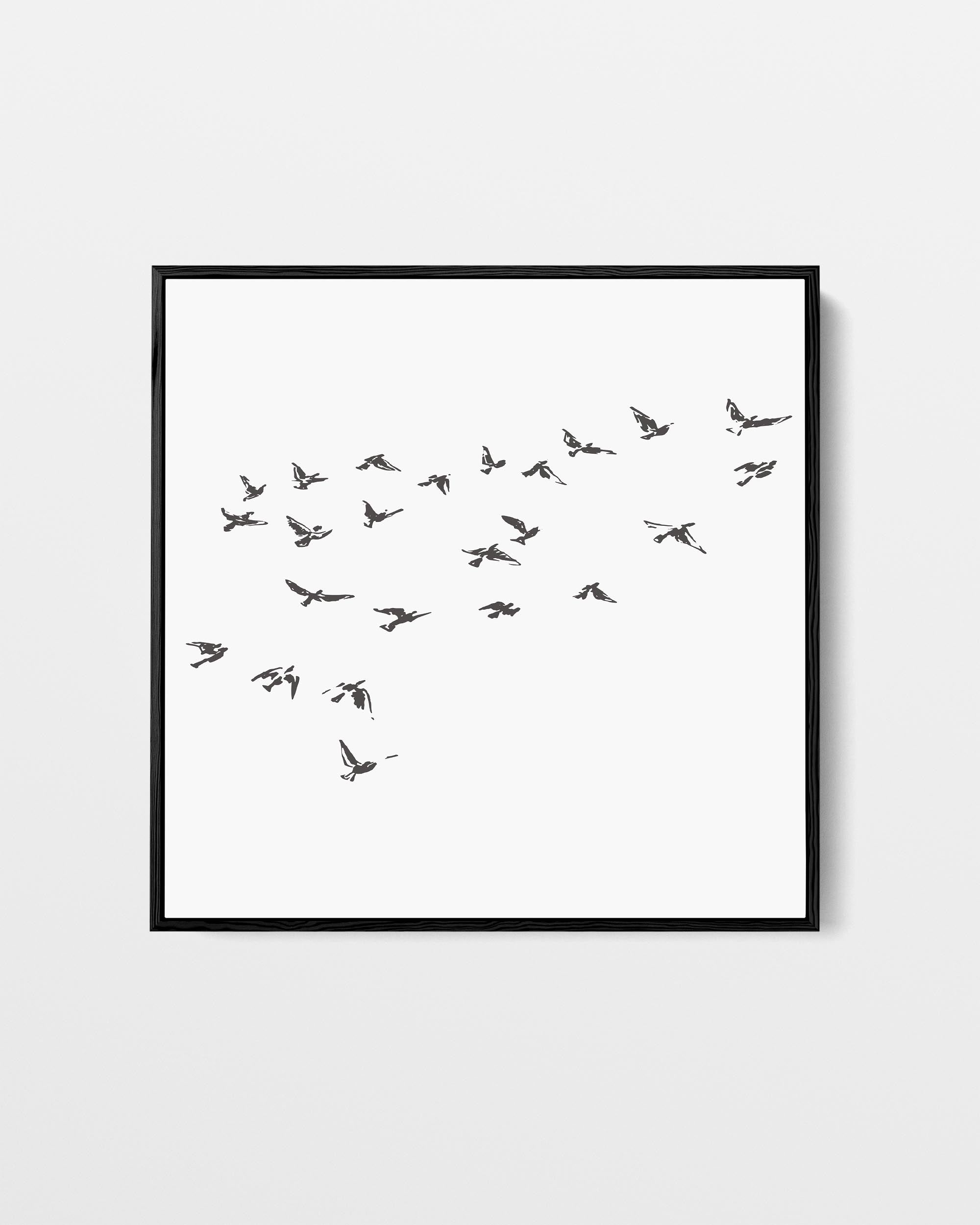 Framed artwork of birds flying on a white background