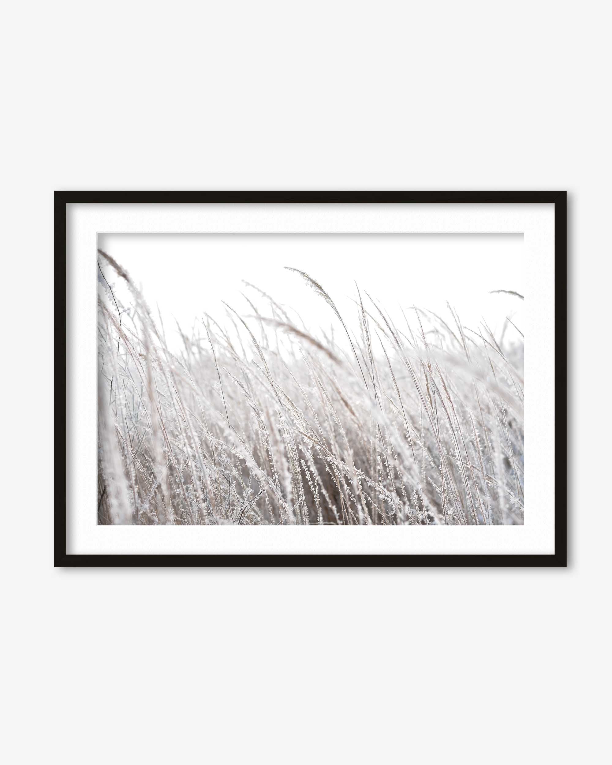 Frozen Grass Wall Art Print