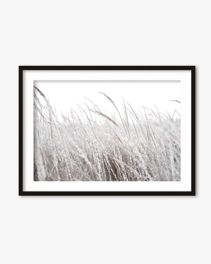 Frozen Grass Wall Art Print