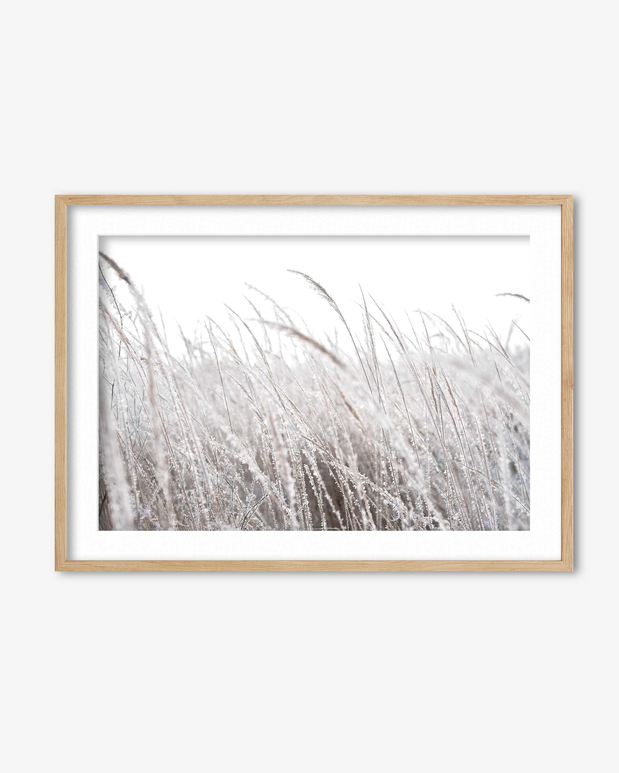 Frozen Grass Wall Art Print