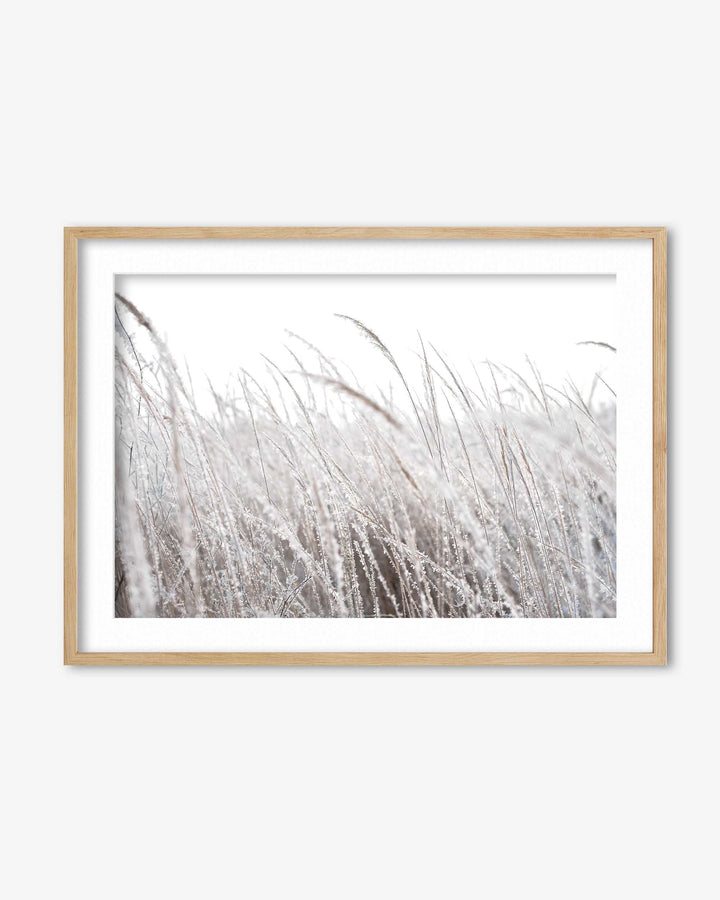 Frozen Grass Wall Art Print