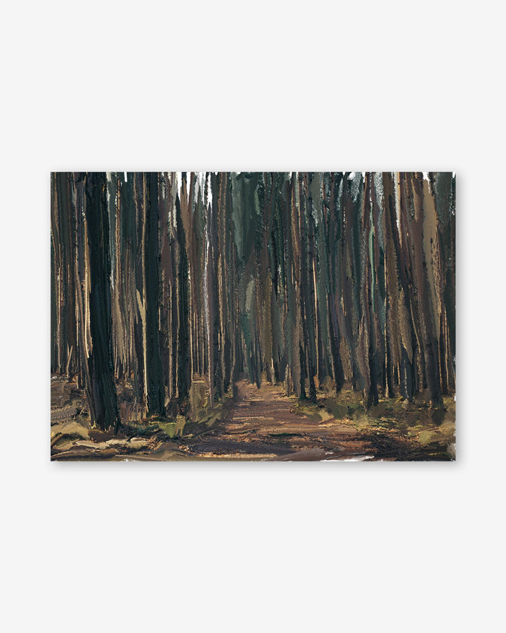 Painting of a forest path with tall trees on a white background