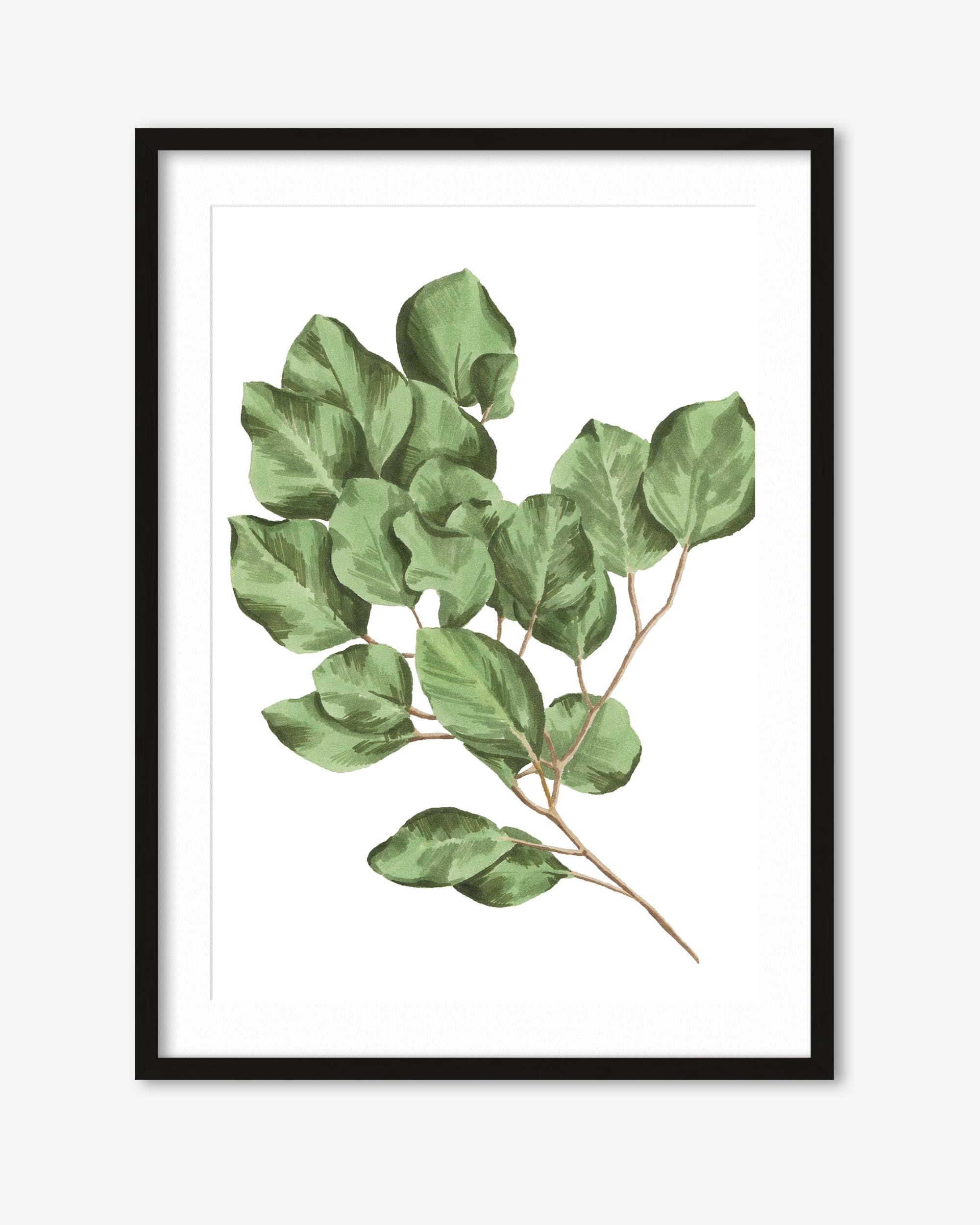 Framed artwork of green leaves on a white background