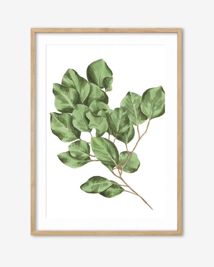 Framed artwork of green leaves on a white background