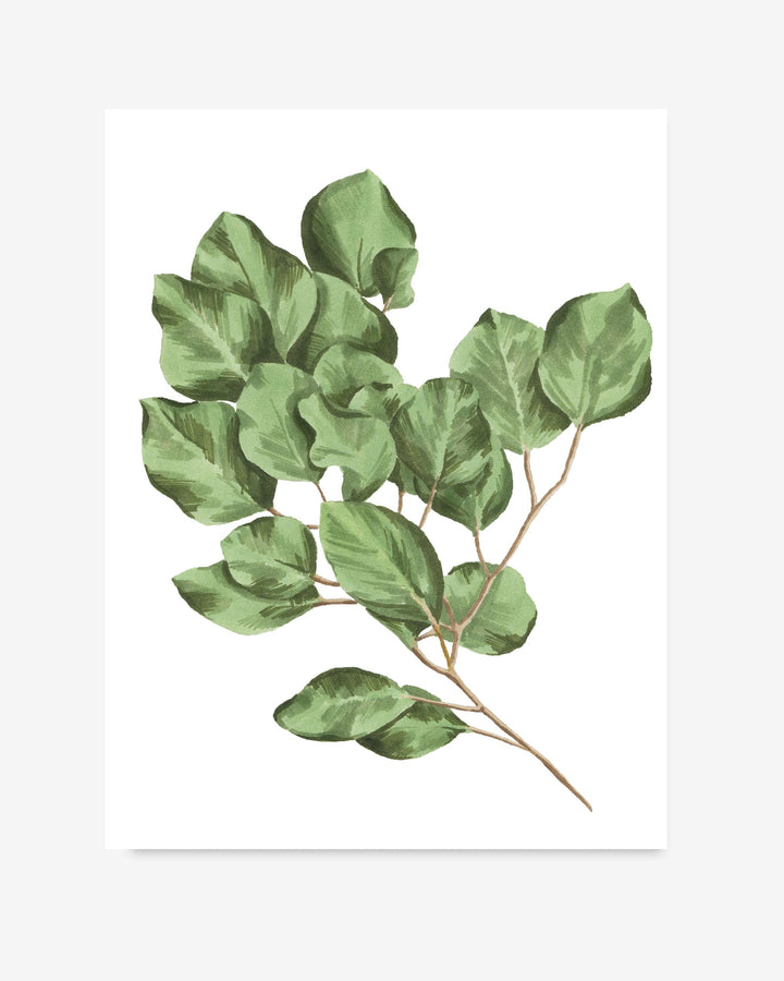 Illustration of green leaves on a white background