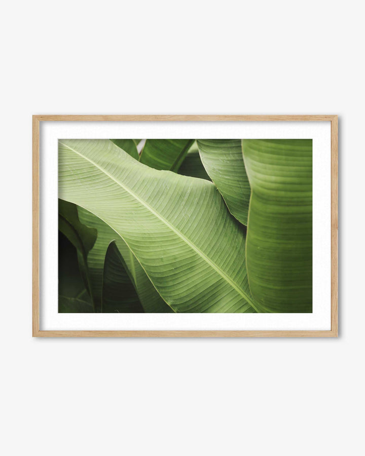 Green Botanical Wall Art Print