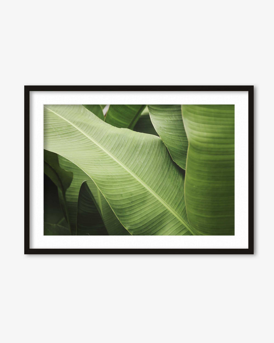 Green Botanical Wall Art Print