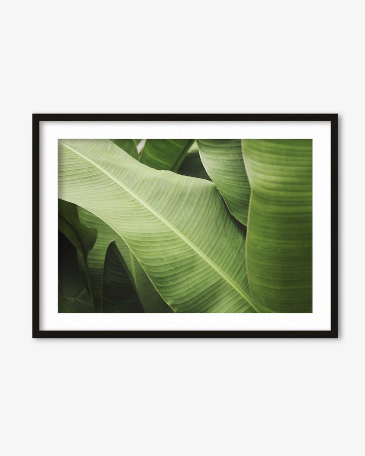 Green Botanical Wall Art Print