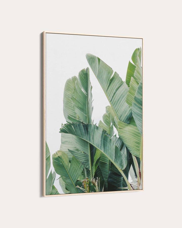 Green Botanical Leaves Wall Art Print
