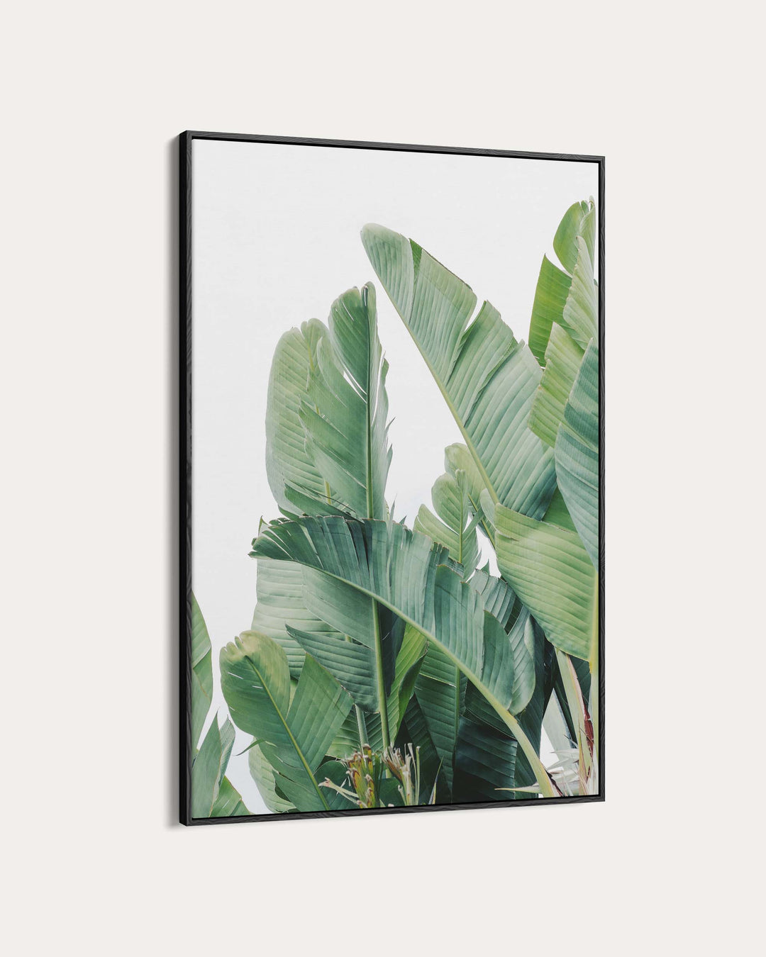 Green Botanical Leaves Wall Art Print