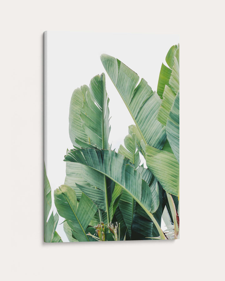 Green Botanical Leaves Wall Art Print