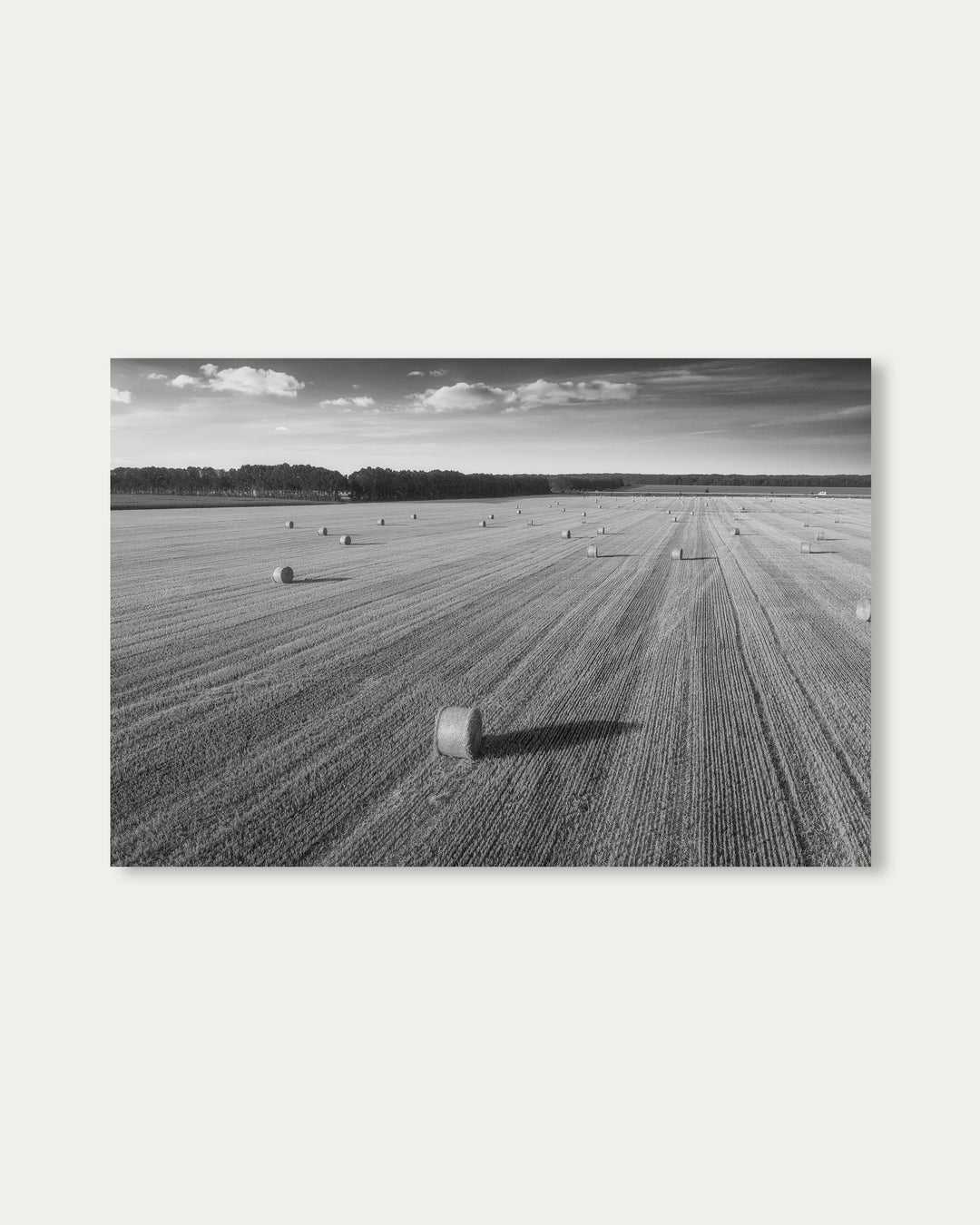 Hay Black And White Wall Art Print