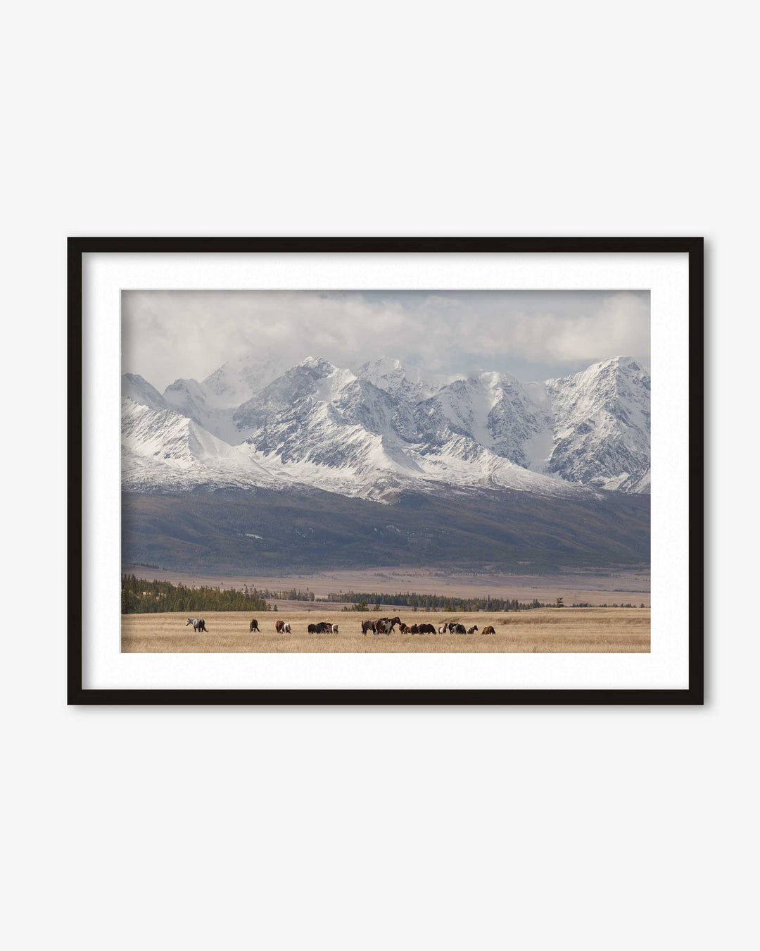 Horses In A Field Art Print