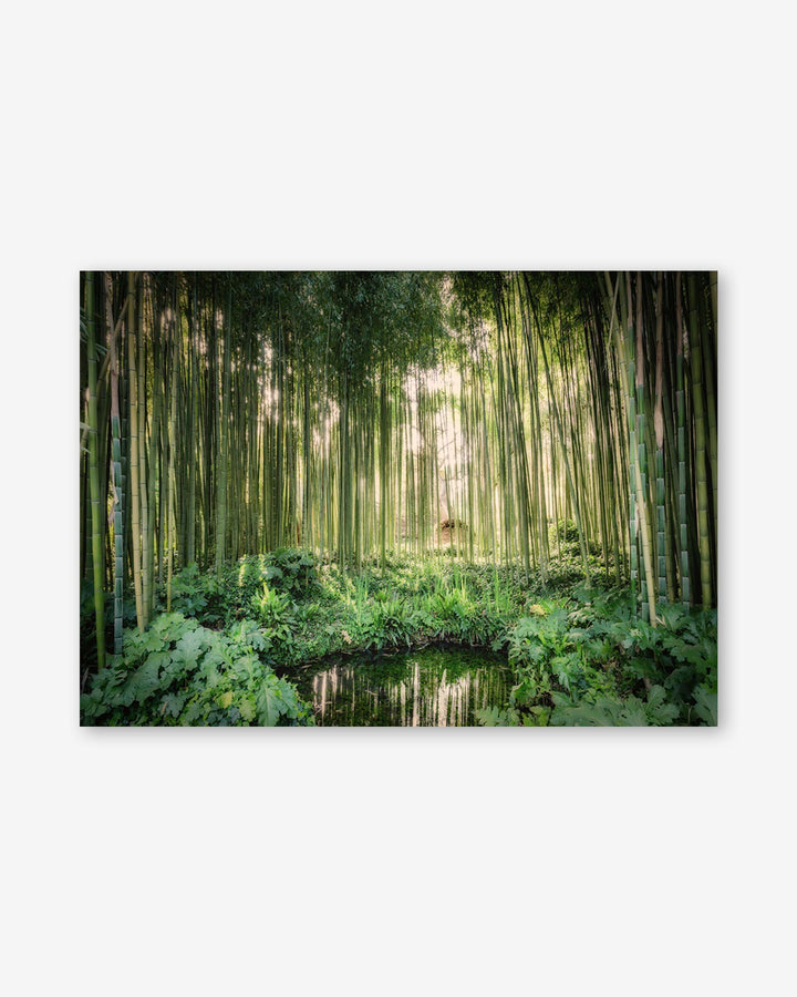 Tropical Oasis Wall Art Print