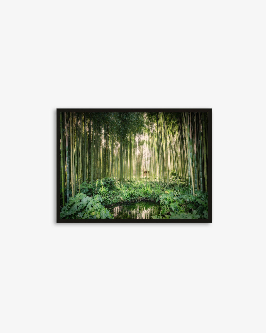 Tropical Oasis Wall Art Print