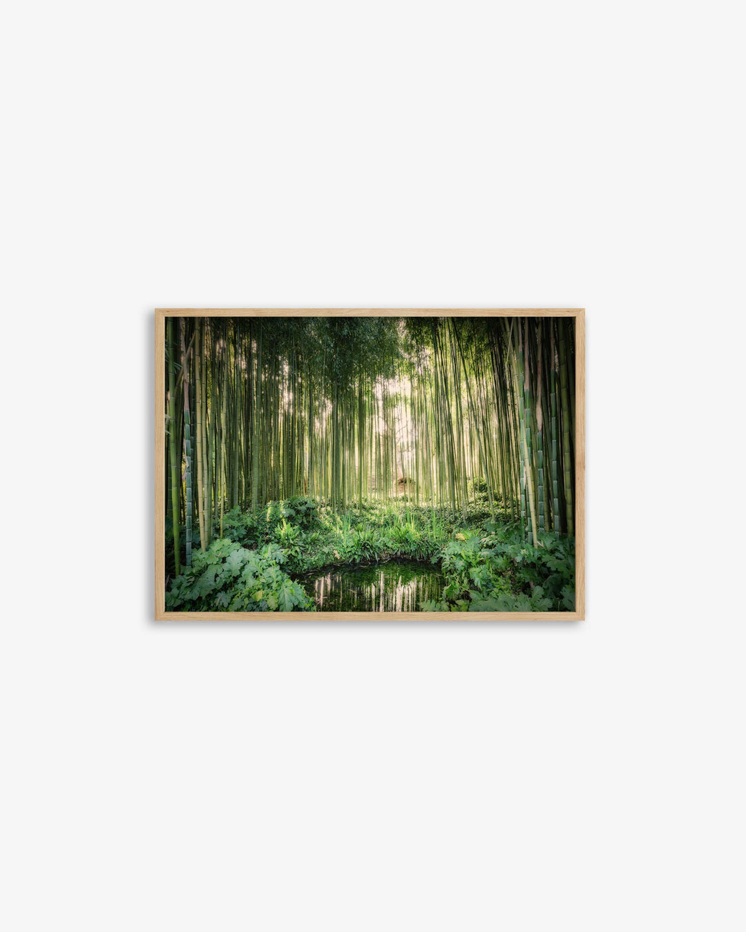 Tropical Oasis Wall Art Print
