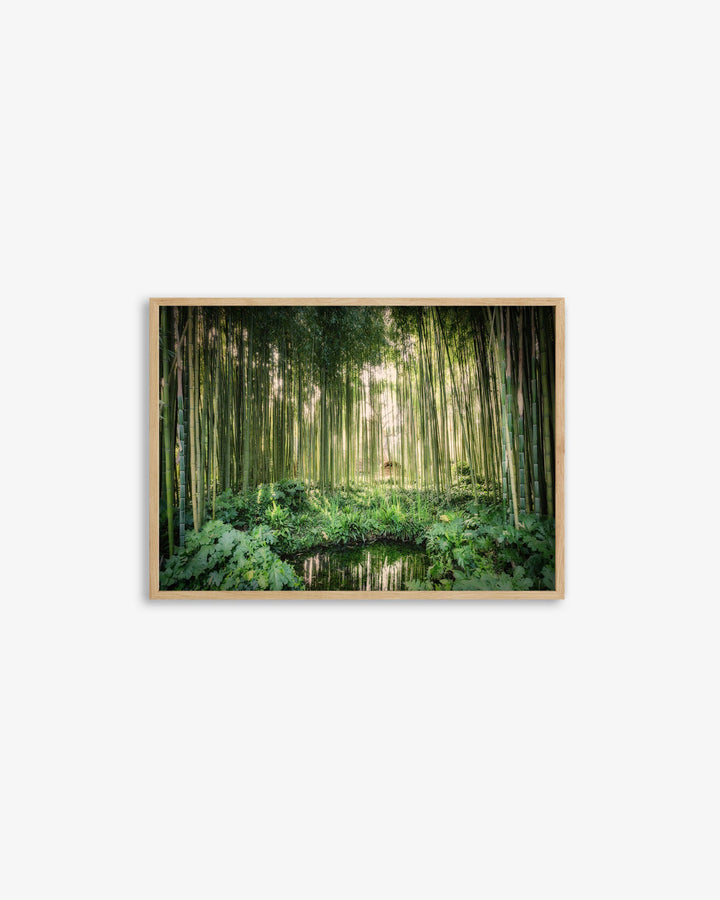 Tropical Oasis Wall Art Print