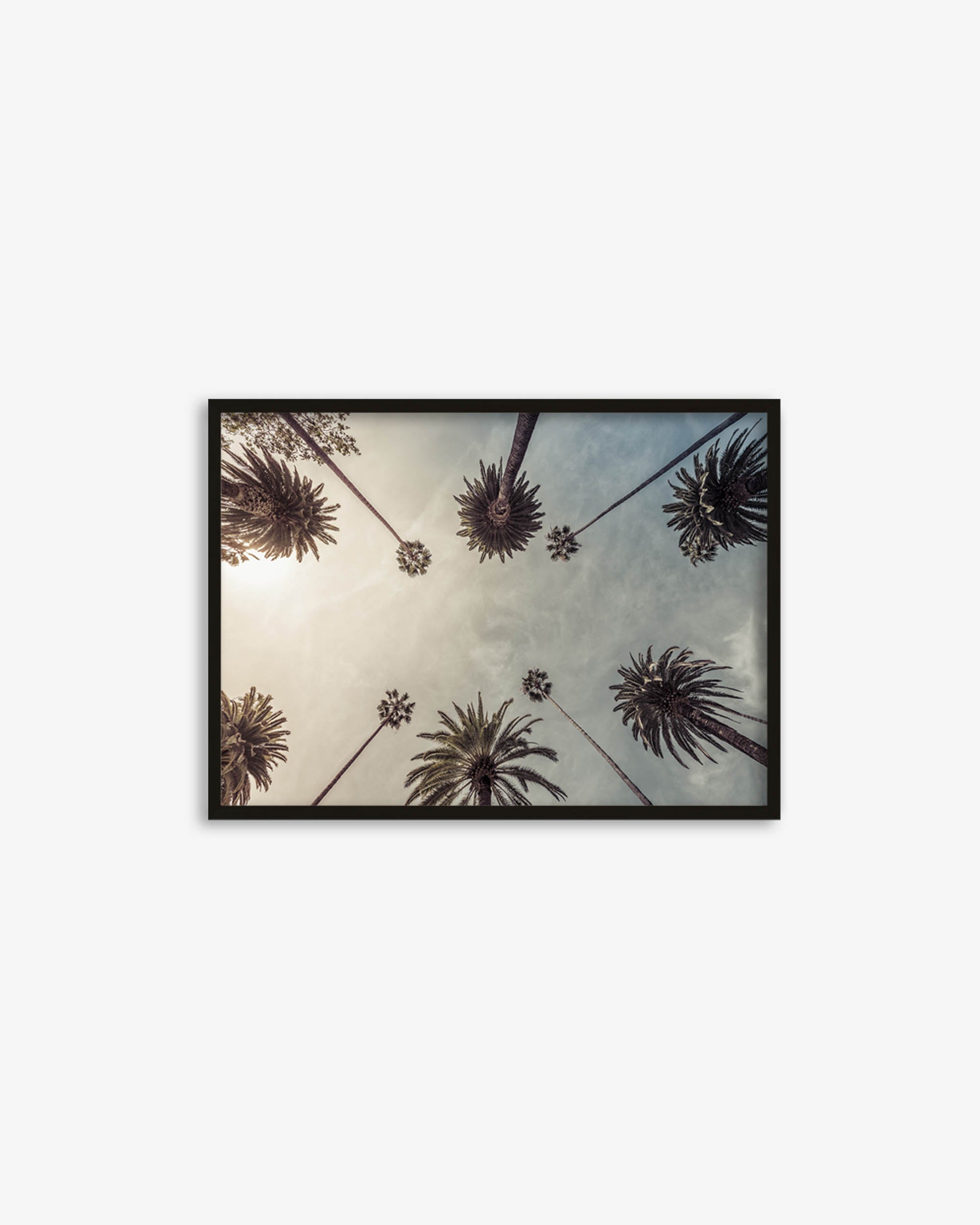 Palm Tree View Wall Art Print