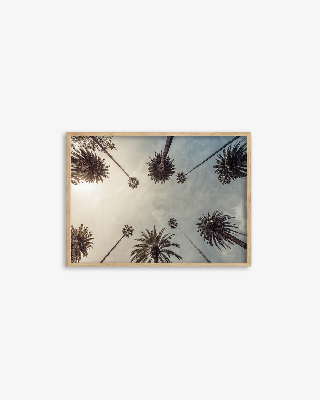 Palm Tree View Wall Art Print
