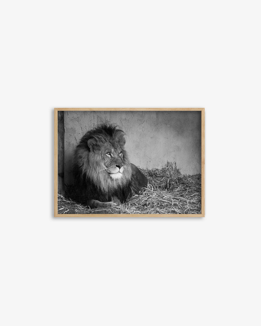 Lion's Den Art Print