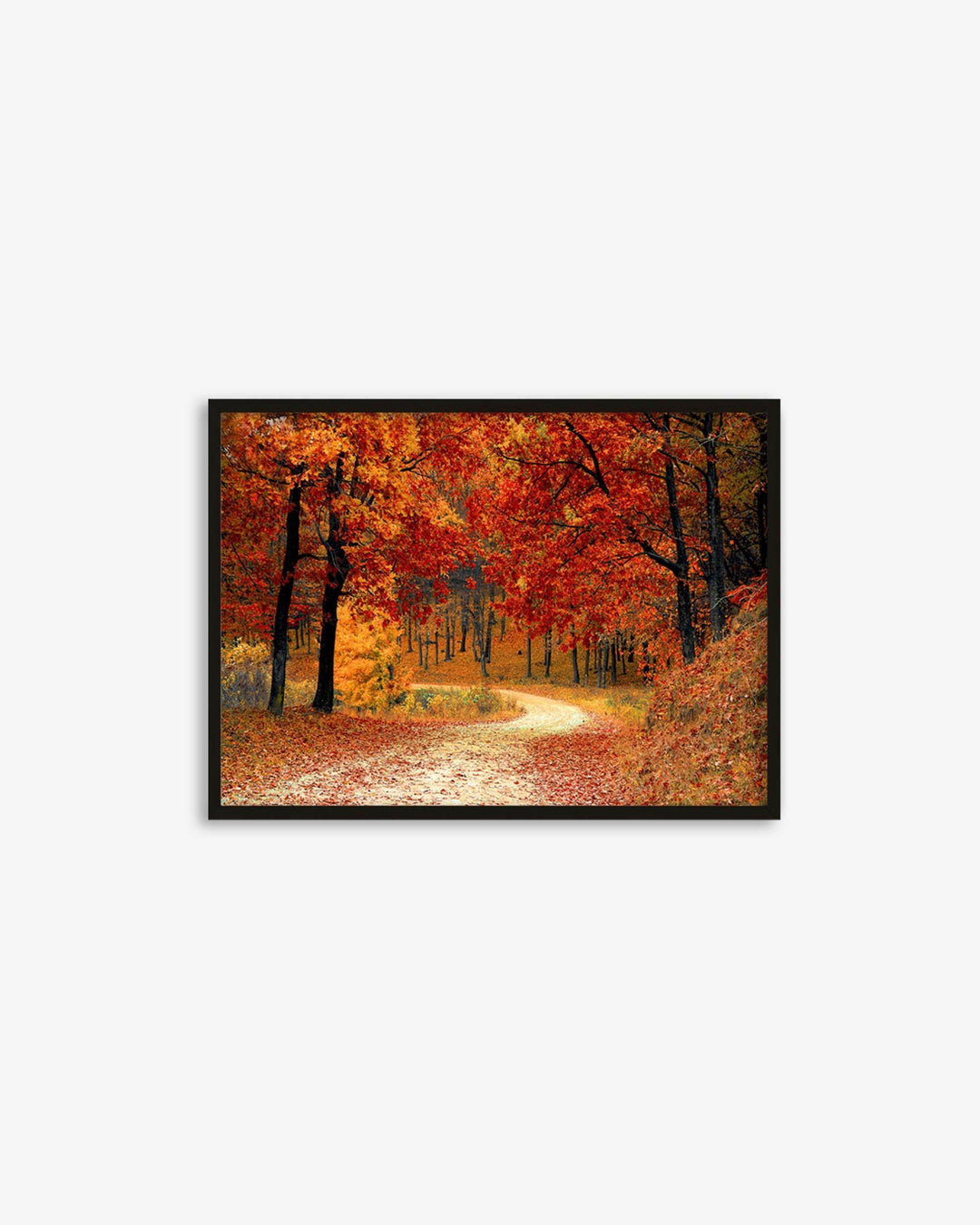 Park In The Autumn Art Print