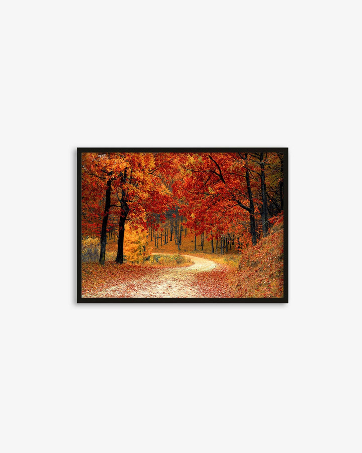 Park In The Autumn Art Print